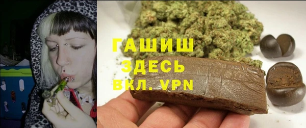 гашик Богданович