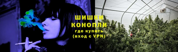 амф Богородицк