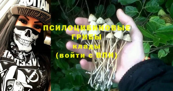 дурь Осташков