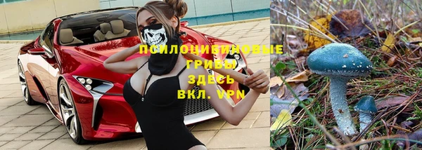 гашик Богданович