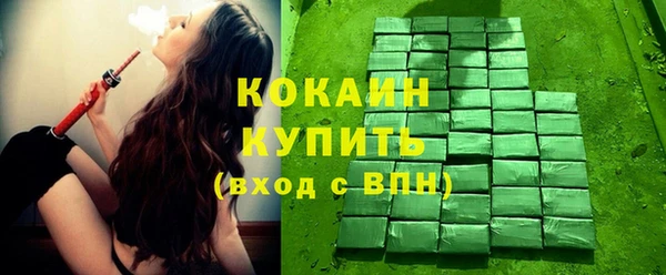 гашик Богданович