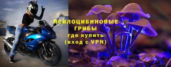 дурь Осташков