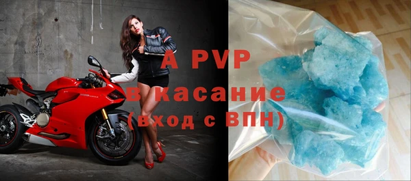 гашик Богданович