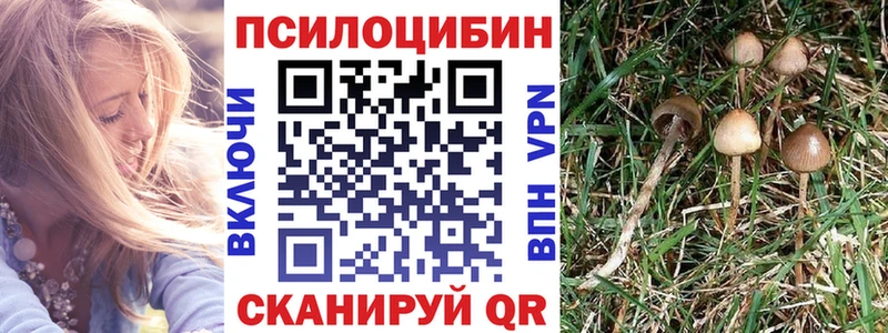 darknet какой сайт  купить закладку  кракен вход  Королёв  Псилоцибиновые грибы мухоморы 