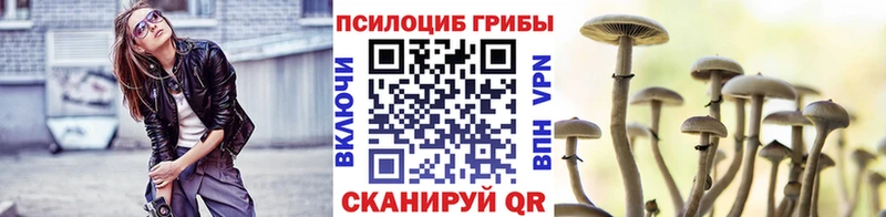 Галлюциногенные грибы Magic Shrooms Королёв
