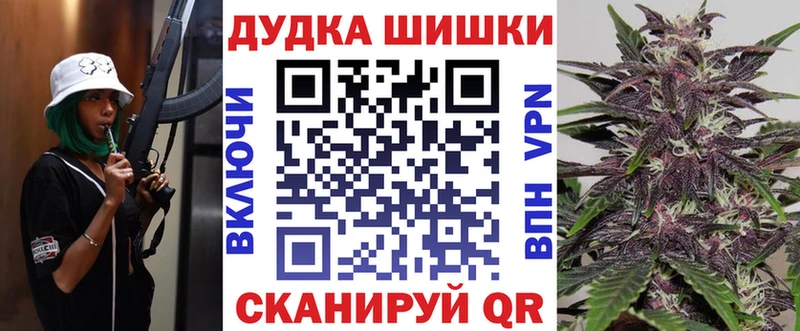 Каннабис сатива  цены наркотик  маркетплейс состав  Королёв 